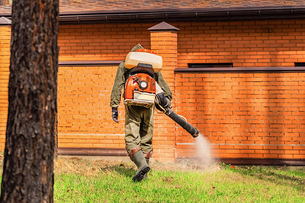 Trusted Termite Control service in Spring Valley Village, TX - Nex Pest Control